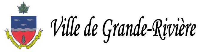 Logo-VILLE-GRANDE-RIVIERE